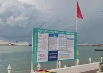 За ночь в Сочи упало восемь деревьев