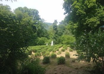 В Краснодарском крае похолодает сразу на 10 градусов. Синоптики назвали дату