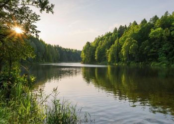 Тело пропавшего на Кубани пятилетнего мальчика нашли в озере рядом с домом