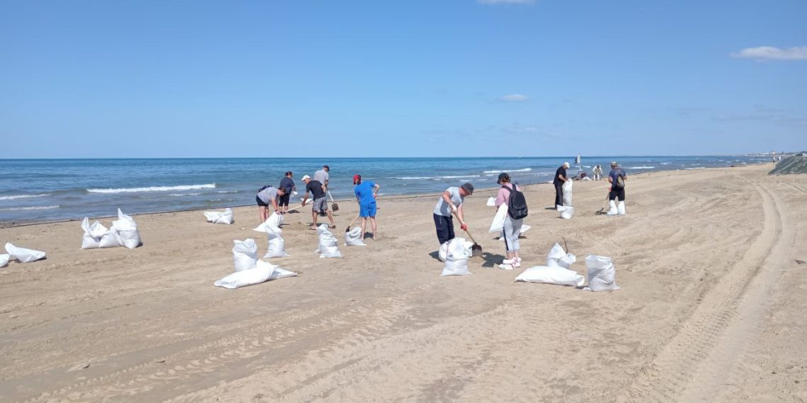 Опровержение фейка: с побережья Анапы вывозят только загрязненный мазутом песок