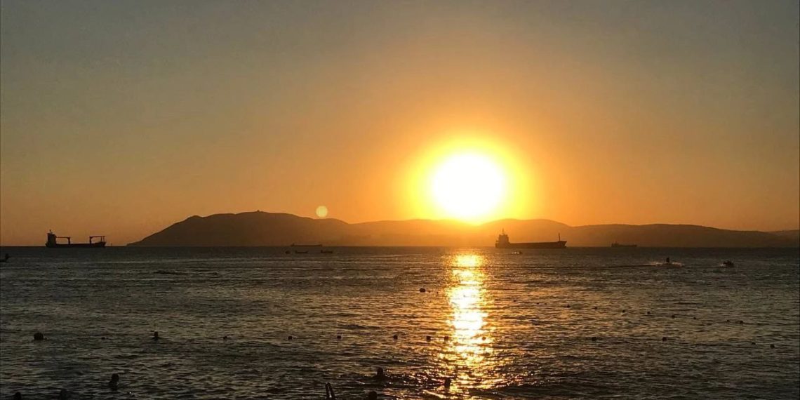 На берегу моря на Кубани нашли мертвого дельфина