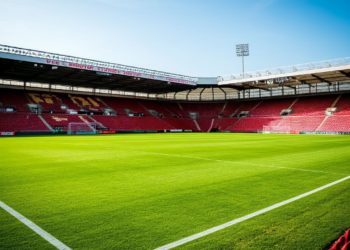 В Сочи юристке дали 8 лет колонии за мошенничество с футбольным полем и взятки