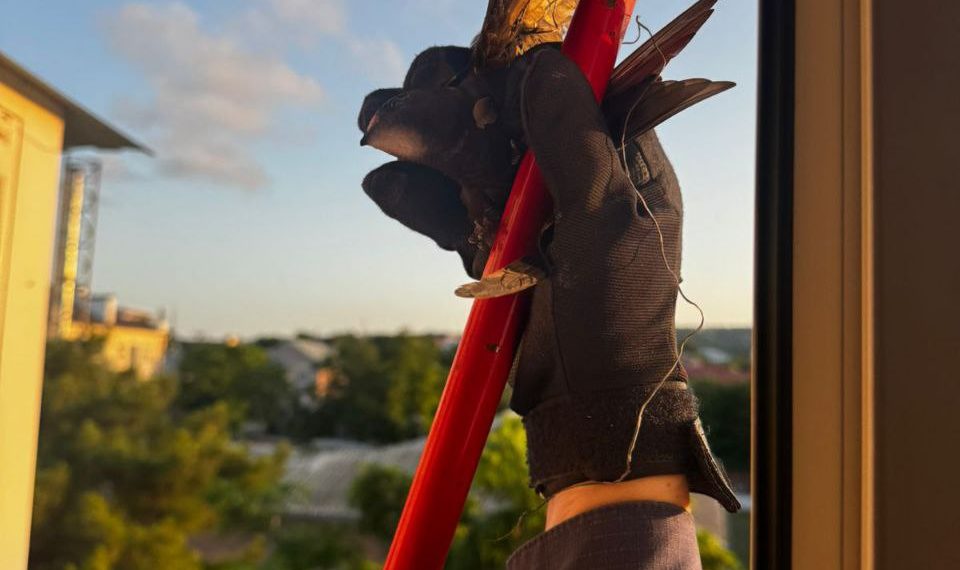 В Новороссийске спасатели освободили птицу, запутавшуюся в нитках