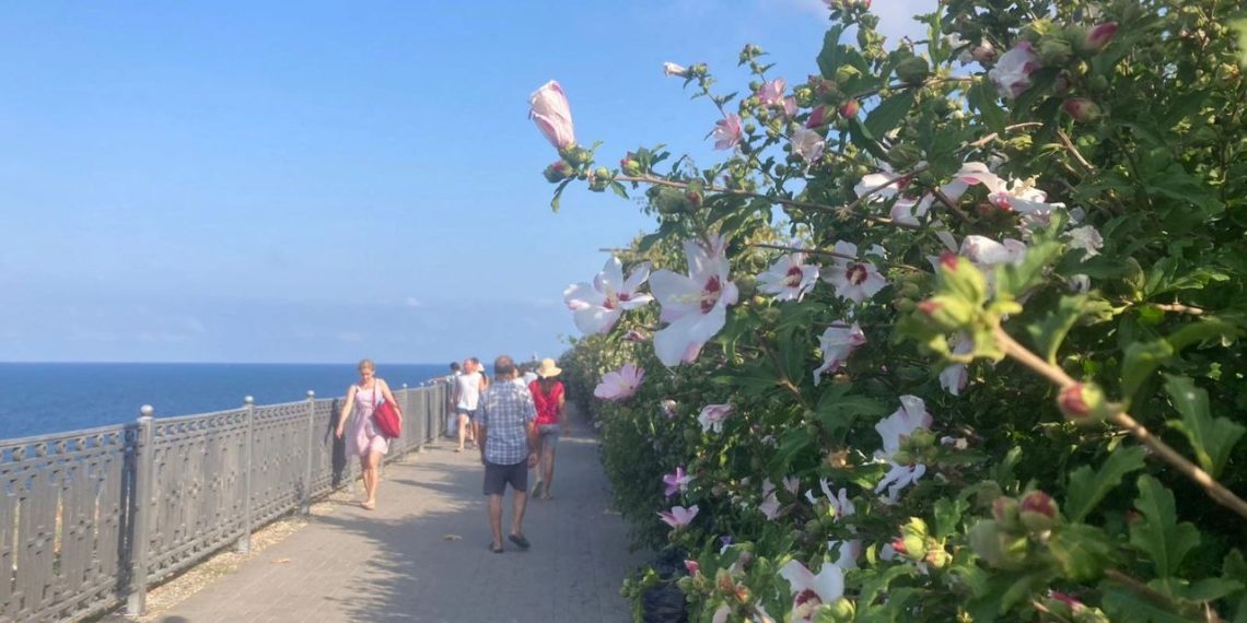 Метеорологи резко изменили прогноз на первую половину июля в Краснодарском крае