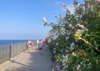 Метеорологи резко изменили прогноз на первую половину июля в Краснодарском крае