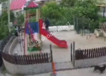 В Сочи молодой человек жестоко избил собаку на глазах у детей