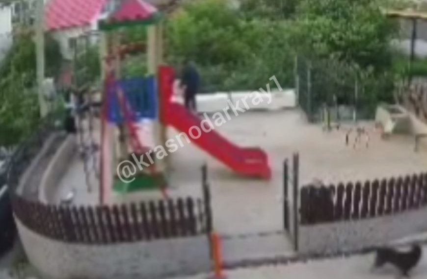 В Сочи молодой человек жестоко избил собаку на глазах у детей