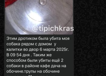 На Кубани жители станицы возмущены жестоким отловом бродячих собак