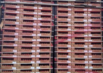 В порту Туапсе выявили зараженные южноамериканской молью турецкие томаты