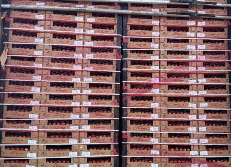 В порту Туапсе выявили зараженные южноамериканской молью турецкие томаты