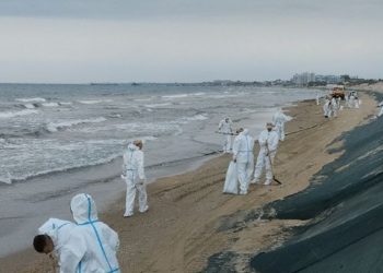 Ученые рассчитали объем работ для спасения пляжей Кубани после разлива мазута