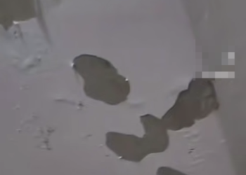 Краснодарцы возмущены состоянием дома на проспекте Чекистов