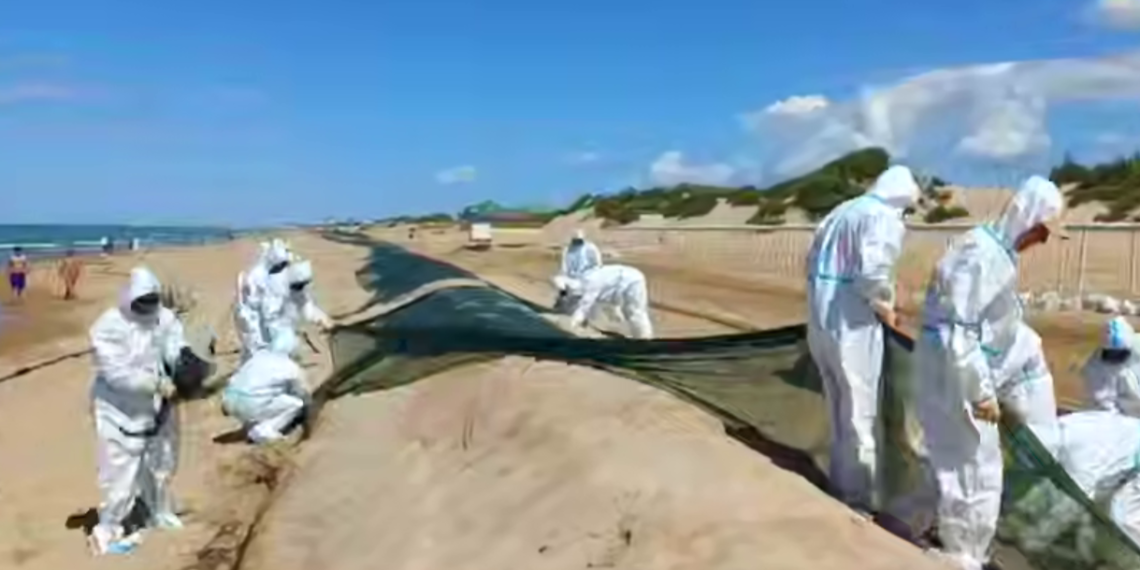 Оперштаб: защитный вал на пляжах Анапы начали демонтировать