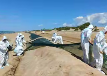 Оперштаб: защитный вал на пляжах Анапы начали демонтировать