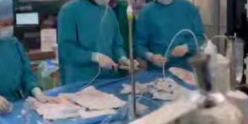 На Кубани впервые провели операцию по замене клапана по принципу «матрешки»