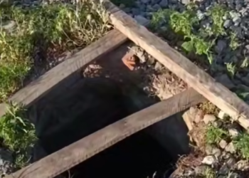 Девятилетний ребенок в Краснодаре едва не утонул в колодце