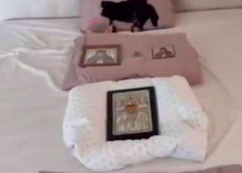 В Краснодаре мужчина предлагает экс-жене деньги за интим и устраивает похороны