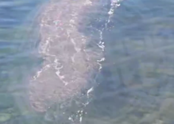 На пляже в Сочи у Уч-Дере заметили загадочное пятно в воде