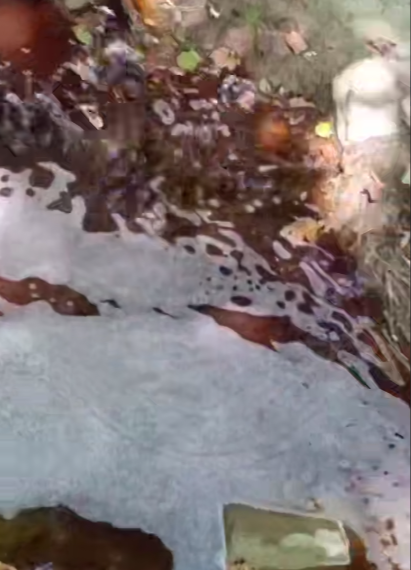 В сочинском селе Пластунка неизвестные сливают в реку пенящуюся жидкость