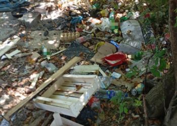 В центре села Весёлое в Сочи заметили груды мусора