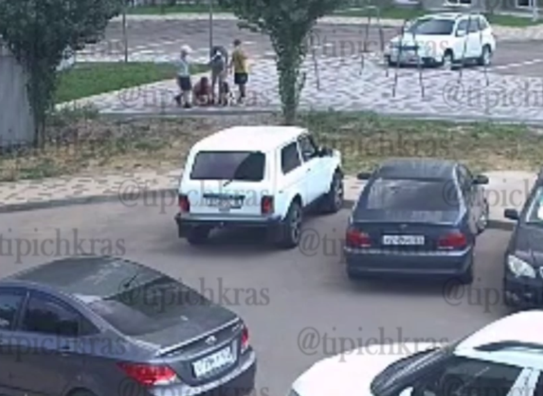 В Краснодаре разгорается конфликт из-за укуса собаки, оставленной с детьми