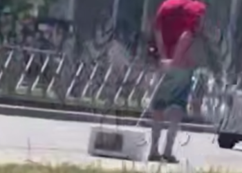 Жара в Краснодаре доводит до абсурда: мужчина везёт микроволновку на верёвке