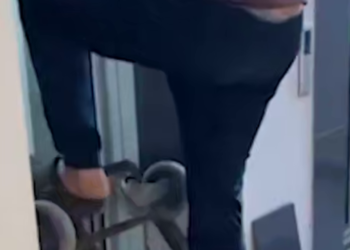 Краснодарцы разгромили лифт в ЖК в попытке освободить застрявшую тележку