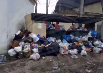 Жители Дагомыса возмущены бездействием мусороуборочной компании