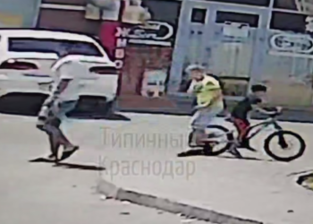 В Краснодаре ребёнка укусил джек-рассел во время велопрогулки в КП «Греция»