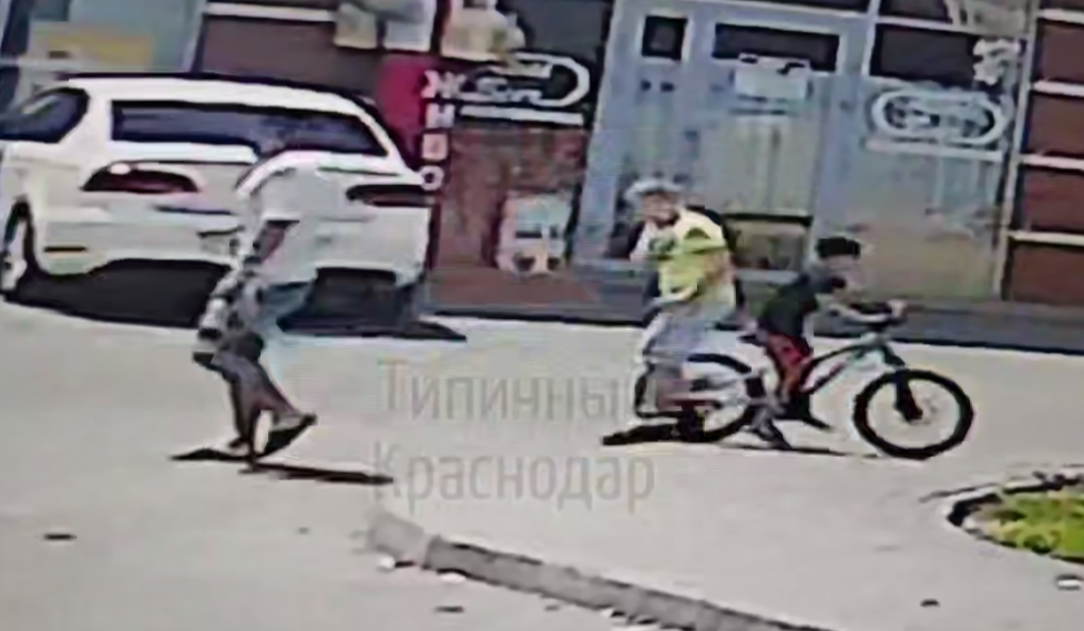 В Краснодаре ребёнка укусил джек-рассел во время велопрогулки в КП «Греция»