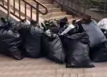 Пропавшая в Краснодаре квартирантка оставила после себя мёртвую кошку