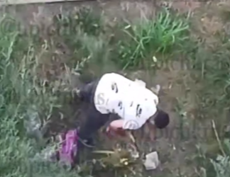 В Краснодаре озлобленный парикмахер спилил палисадник для привлечения клиентов