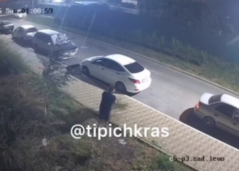 Парикмахер, уничтоживший деревья в Краснодаре, тайно покинул арендованный подвал