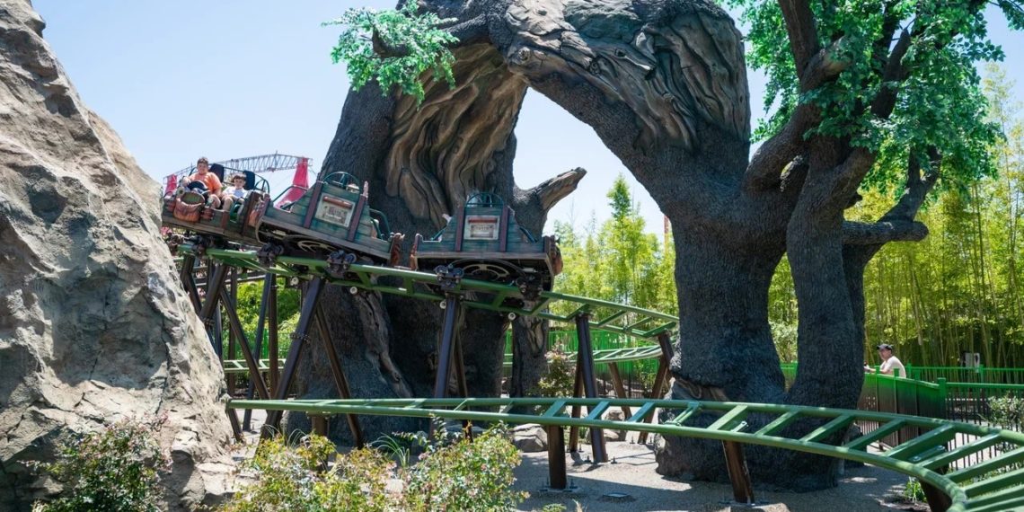 В Сочи Парке появится новый семейный аттракцион «Лесная почта»