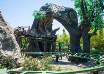 В Сочи Парке появится новый семейный аттракцион «Лесная почта»