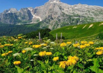 Более 2 миллионов туристов уже побывали в нацпарке Сочи с начала года