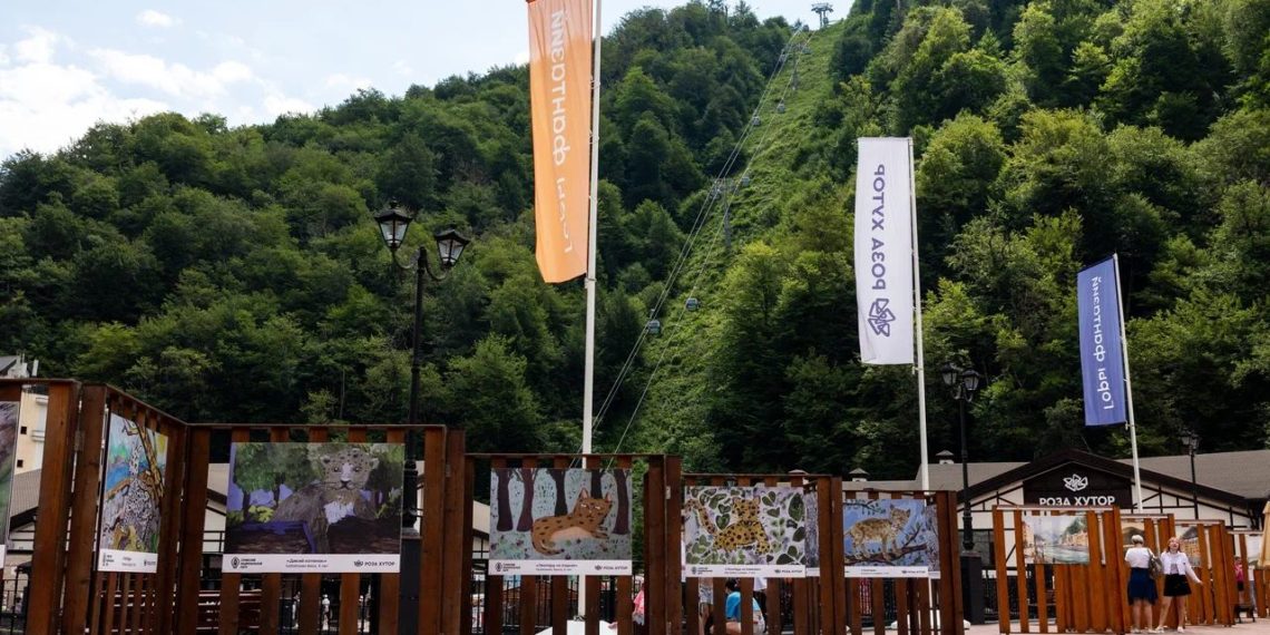 День леопарда отметят на «Роза Хутор»