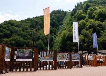 День леопарда отметят на «Роза Хутор»