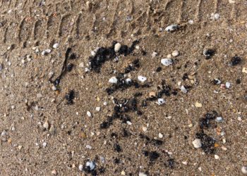 В Анапе завершили разбор большей части защитного вала вдоль береговой линии