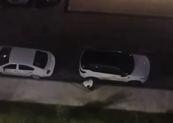 В результате стрельбы в Краснодаре пострадал один человек