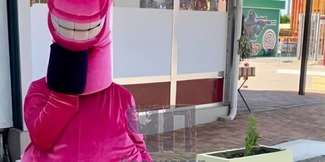 Плюшевые аниматоры устроили «лошадиный» развод в Лазаревском