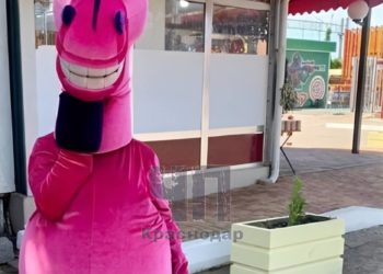 Плюшевые аниматоры устроили «лошадиный» развод в Лазаревском