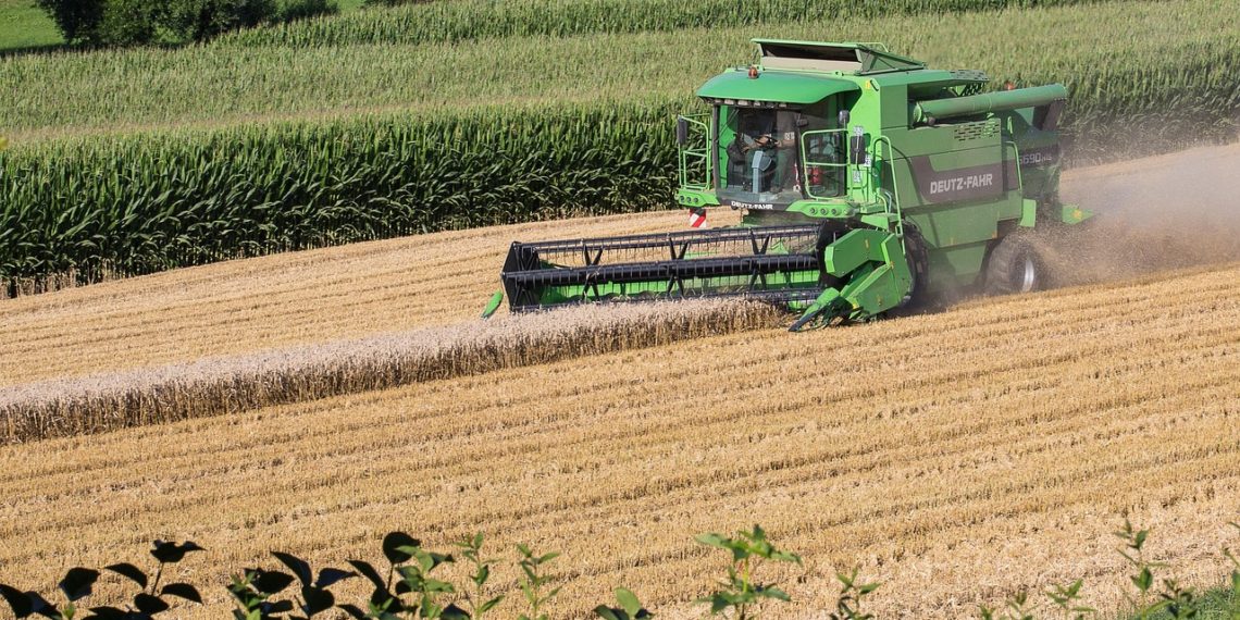 Краснодарские фермеры побили рекорд по сбору зерна