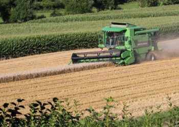 Краснодарские фермеры побили рекорд по сбору зерна