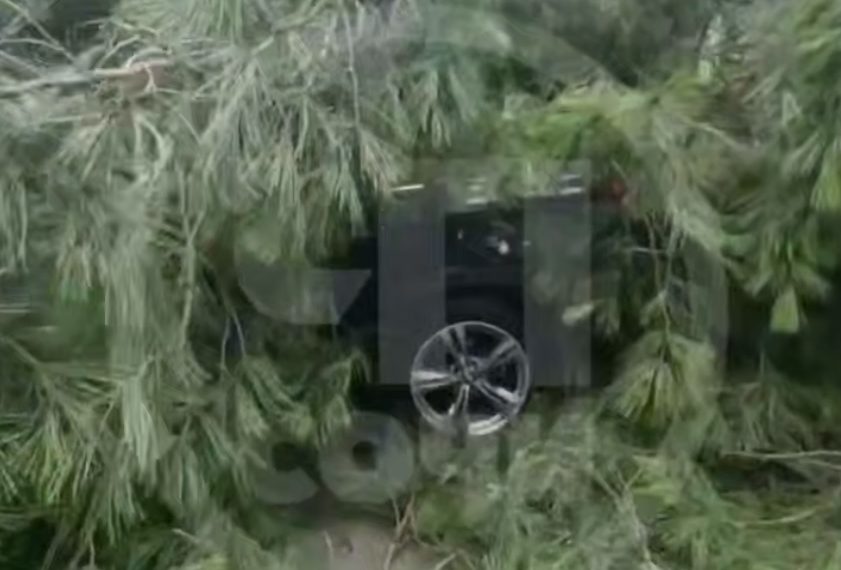 В Сочи огромная сосна рухнула на BMW