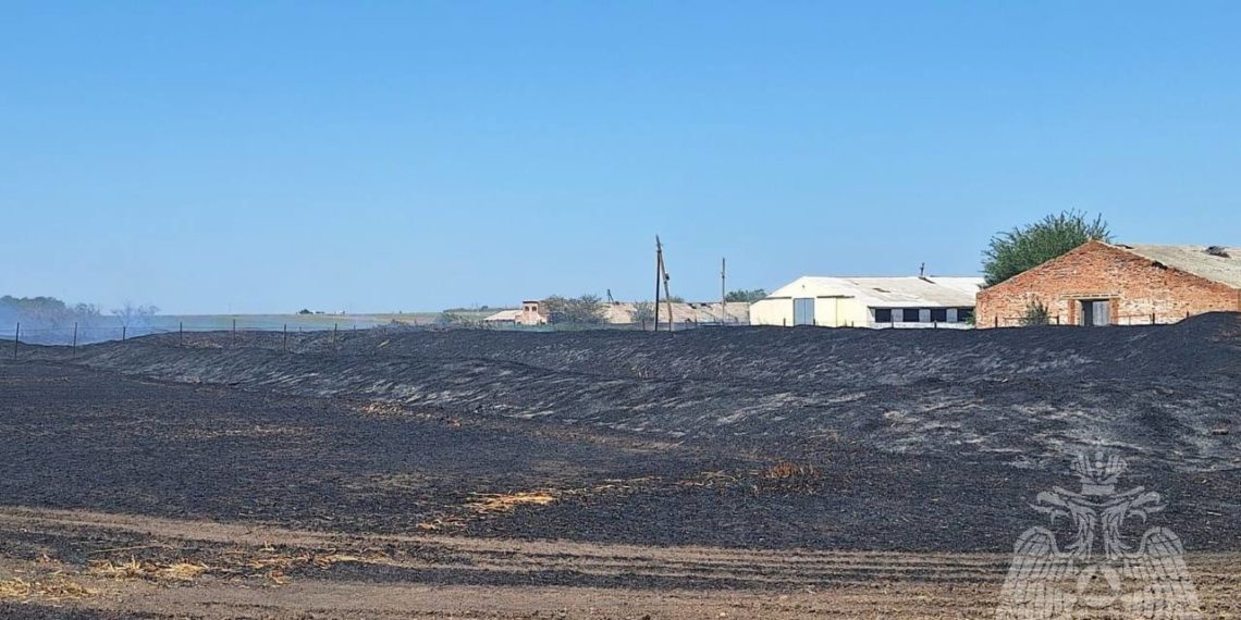 В Ейском районе Кубани ликвидировали крупный пожар на пшеничном поле