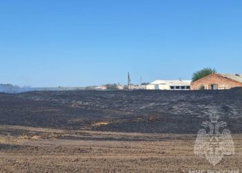 В Ейском районе Кубани ликвидировали крупный пожар на пшеничном поле