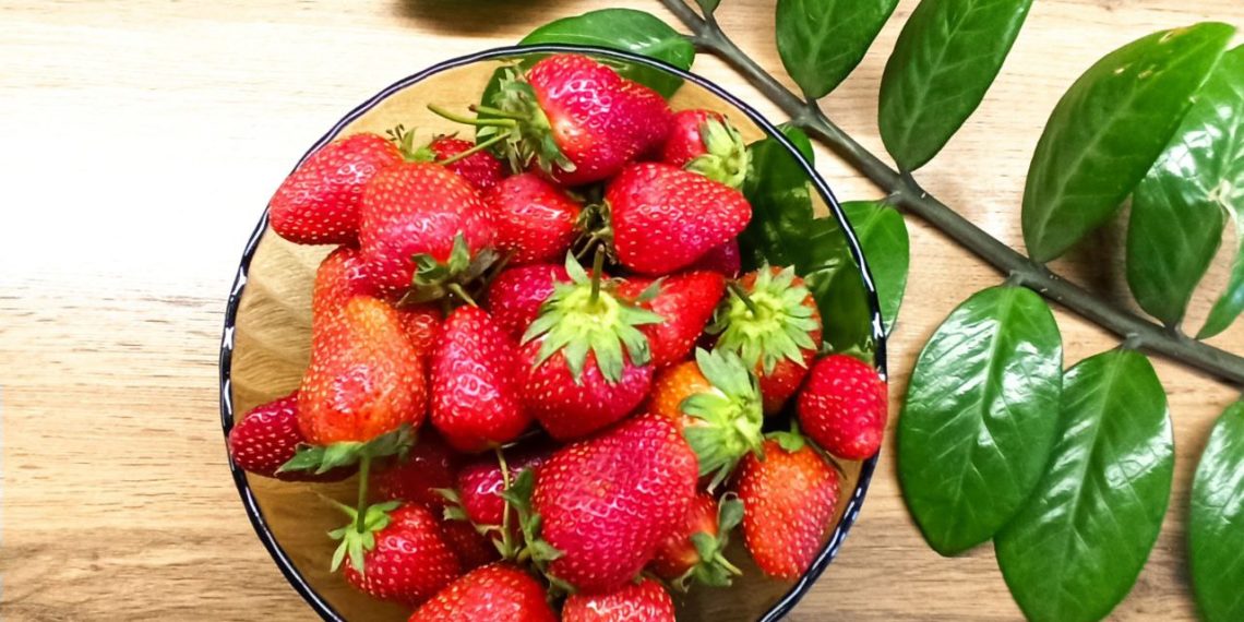 На Кубани клубника за год подорожала на 35%, а спрос на персики упал