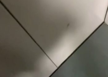 В краснодарской многоэтажке затапливает лифты