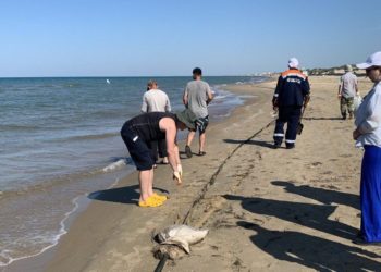 В Анапе за пять дней не нашли новых выбросов мазута